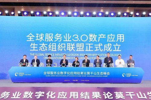 數字賦能，智匯未來 全球服務業數字化應用研討暨莫干山生態峰會在德清圓滿落幕