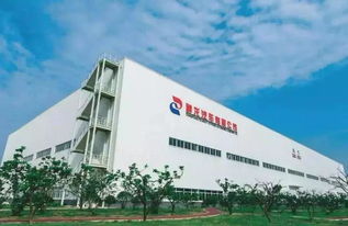 產能過剩與戰略收縮 神龍關廠裁員，PSA在華萌生退意